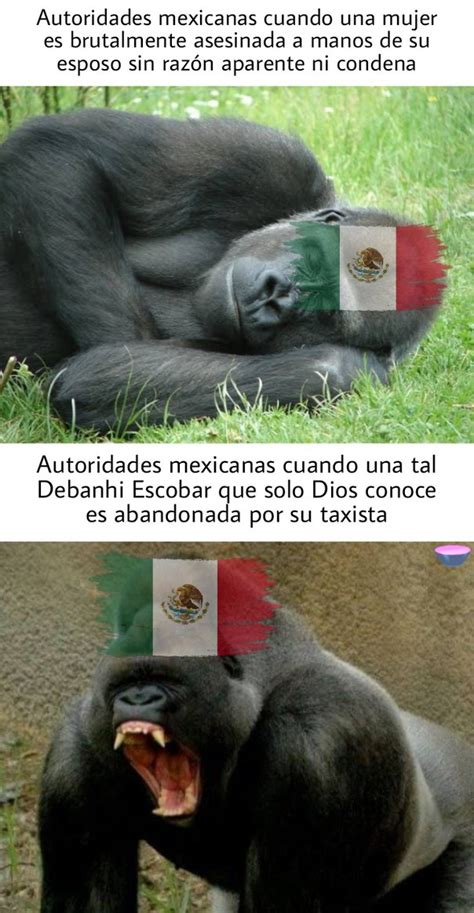 debanhi escobar memes|27 de abril: las noticias de hoy más relevantes .